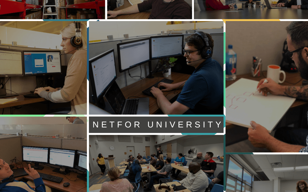 Netfor University: Our Structured System for Sharing What We Know￼￼