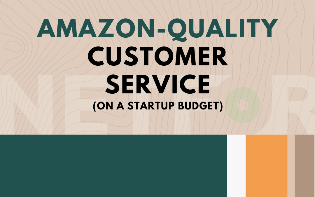 How To Get Amazon-Quality Customer Service On a Startup Budget